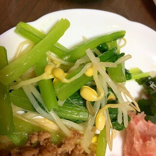 豆もやしと小松菜のナムル